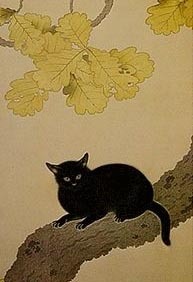 黒き猫