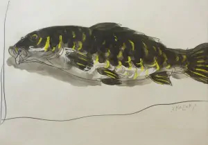 香月泰男の絵の値段 鯉
