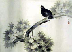 coll_03