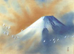 coll_042