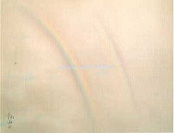 coll_16