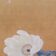 菱田春草「白牡丹」