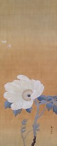 菱田春草「白牡丹」 菱田春草