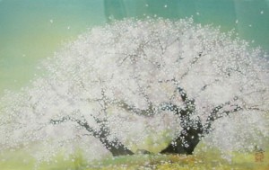 木村圭吾「桜」