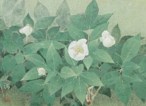 前原満夫「山芍薬」