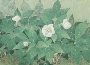 前原満夫「山芍薬」