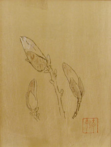 前田青邨『木蓮』 前田青邨