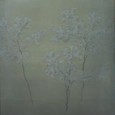 夜桜