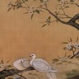 菱田春草「梨に双鳩」