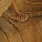 高村光雲　木彫部分のシミ