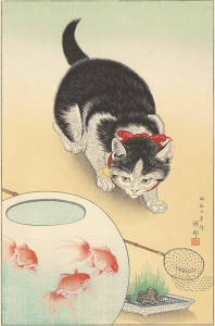 小原古邨_金魚鉢に猫